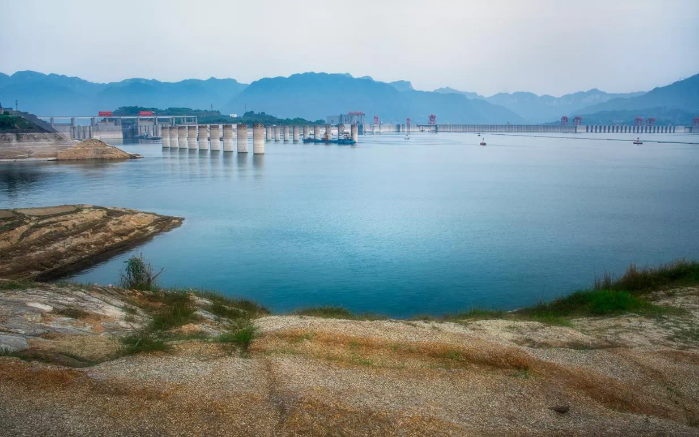 Three Gorges Reservoir boosts the natural fertility of fishes with viscid eggs-2