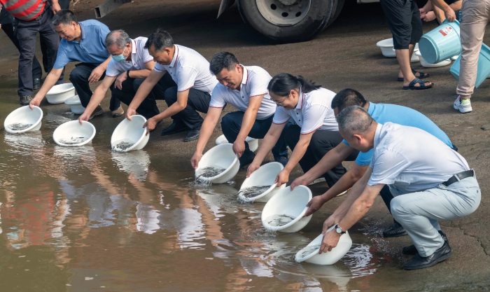 CTG releases 166,900 rare fish into Chishui River-1
