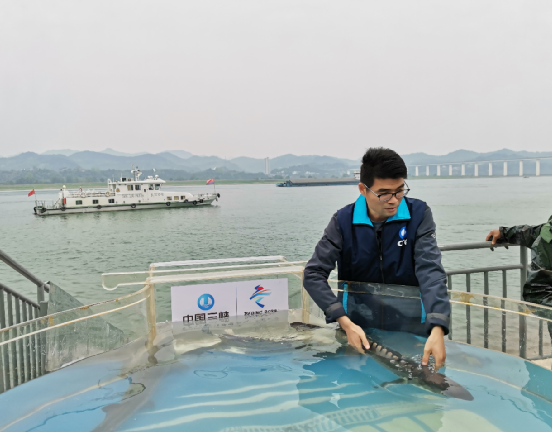 Jiang Wei, Chief Engineer at CTG Chinese Sturgeon Research Institute, Selected as Member of ICC Working Group on Biodiversity-1