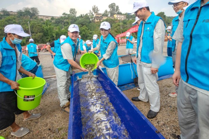 CTG releases 150,000 rare fish into Jinsha River-1