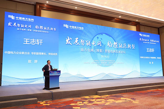 Wang Zhixuan attended the first China Southern Power Grid (Boao) Smart Grid Development Forum-1