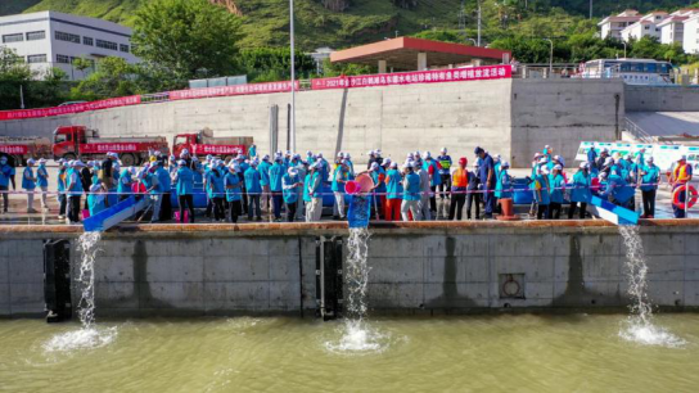 Wudongde holds 2nd rare and endemic fish release in 2021-1